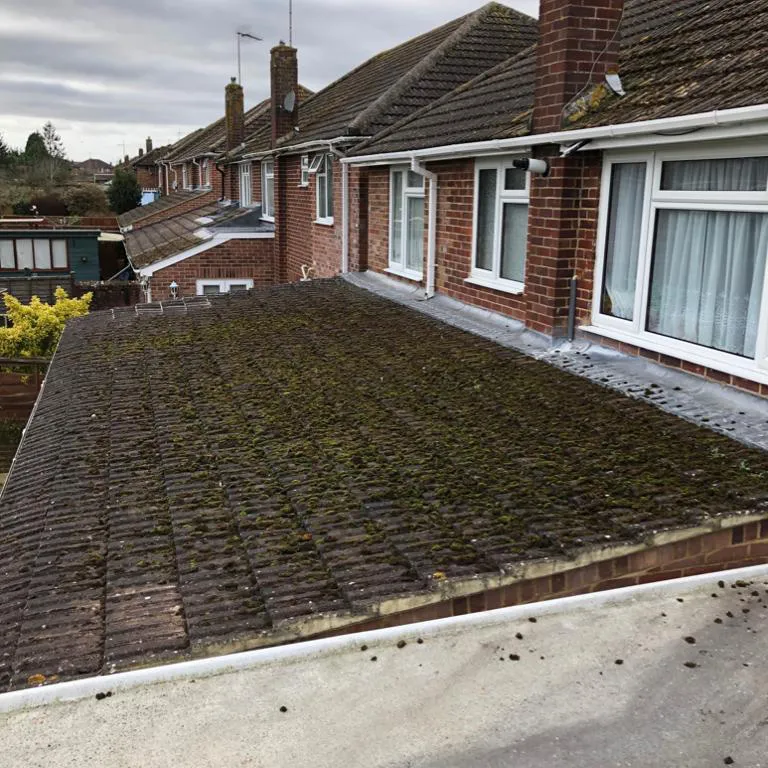 a house with a roof that has a lot of moss growing on it