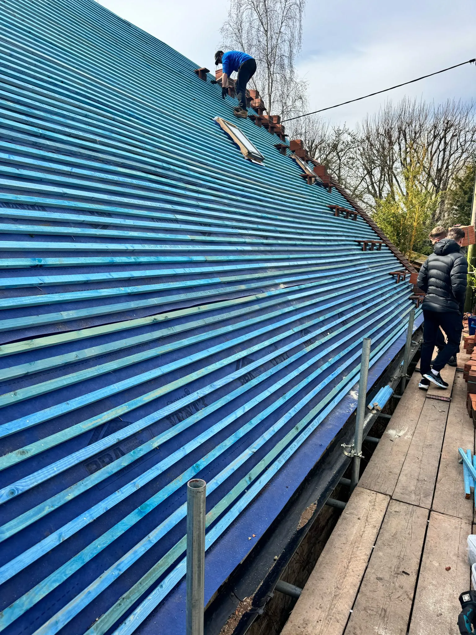 blue roof beams